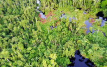 Pérou: des indigènes occupent un site pétrolier pour réclamer de meilleurs soins