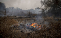 Brésil: l'Amazonie et le Pantanal en flammes, Bolsonaro sous pression
