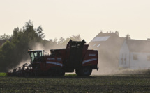 Traces de néonicotinoïdes dans 10% d'aliments végétaux