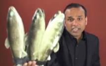 Un vendeur de poisson pakistanais propulsé star de la pop en Occident