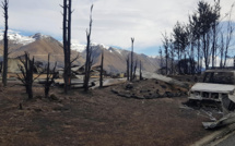 Nouvelle-Zélande: un village dévasté par un feu de forêt