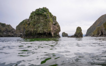 Kamtchatka: une mystérieuse "catastrophe écologique" provoque la mort massive d'animaux