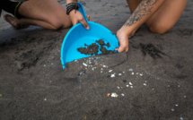 Les fonds marins jonchés de 14 millions de tonnes de microplastiques, selon une étude australienne