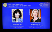 Le Nobel de chimie à un duo de chirurgiennes des gènes, dont une Française