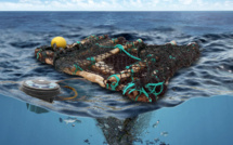 Partagez vos observations sur les dispositifs de concentration de poissons