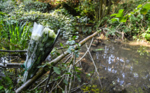 Mort de Victorine: un suspect de 25 ans interpellé en Isère