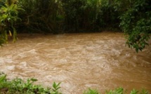 Alerte sanitaire  à Tahiti en raison du risque important de leptospirose