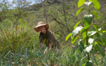 Les Wwoofeurs débarquent à Ua Pou