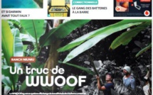 LES NOUVELLES N°16706 du 14 octobre 2020