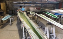 Ces ingénieurs du va’a