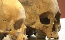 Une université suédoise pour la restitution de crânes anciens à la Polynésie