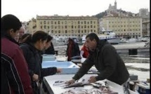 Marseille: les étals de poissonniers de retour sur le Vieux-Port