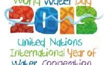 Année internationale des Nations Unies de la coopération dans le domaine de l'eau 2013