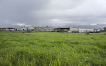 En Guadeloupe, la question foncière au coeur de nombreux conflits