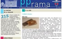 La PP parisienne publie son "best of" des affaires insolites