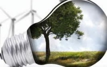 2013, année de la transition énergétique pour Batho