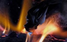 Autriche: un chien met le feu à la maison