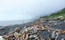 Séisme de 7,5 et tsunami au large de l'Alaska