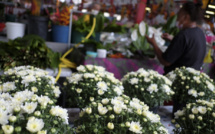 Des fleurs malgré le Covid pour la Toussaint