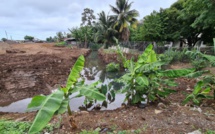 Une source ensevelie par un chantier à Outuaraea