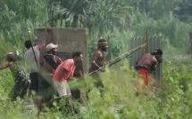 Papouasie: de nouveaux affrontements intertribaux font 8 morts