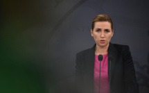 Coronavirus muté des visons: restrictions spéciales pour 280.000 habitants au Danemark