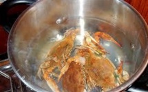 Les crabes pourraient ressentir la douleur, assurent des chercheurs