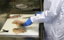 Fukushima: un poisson présente un niveau impressionnant de radioactivité