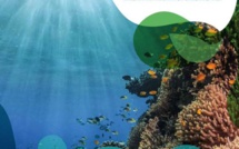 Kiwa : 4 milliards contre le changement climatique