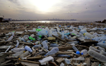 Sacs, fils de pêche, emballages: le catalogue des plastiques qui étouffent les animaux marins