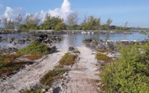 ​L'aire marine éducative de Anaa saccagée