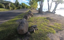 ​Des bords de route dangereux à Raiatea