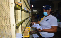 Le casse-tête des colis de Noël