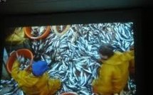 Supprimer les rejets de poissons en mer: un casse-tête pour la pêche française