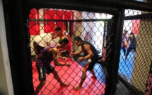 Le MMA polynésien pose ses fondations