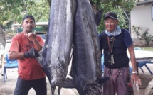 Des marlins enchanteurs aux Gambier