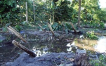Les îles Salomon isolées attendent l'aide d'urgence après le séisme