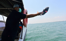 La dérive des déchets plastiques suivie par satellite pour des océans plus propres