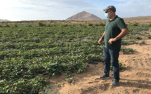 Les Canaries pour les élèves de Opunohu