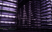 Une des plus grandes fermes "verticales" d'Europe ouvre ses portes au Danemark