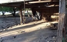 Séisme aux îles Salomon : Nouvelle réplique de magnitude 6,5