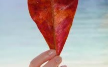 Thaïlande: top départ pour le record du plus long baiser du monde