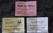 Wallis revote le 17 mars pour son député et une partie de son assemblée