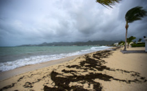 Une femme tuée par un requin sur l'île de Saint-Martin
