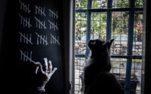 Covid-19: la France déconfinée, les restaurants et la culture déconfits