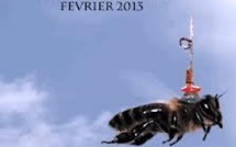 "Des abeilles et des hommes", un cri d'alerte depuis le coeur des ruches