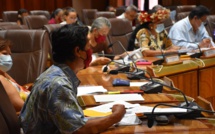 Textes sur le transport aérien : Le Cesec "désapprouve la forme" et refuse de se prononcer