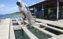 Déchets perlicoles : nettoyage des lagons en perspective