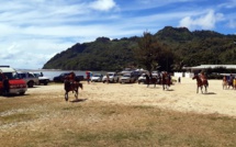 ​Une fin d'année au triple galop