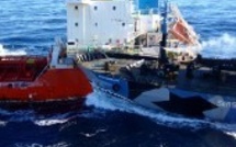 Nouveaux heurts en Antarctique entre baleiniers japonais et Sea Shepherd